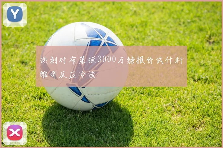 热刺对布莱顿3000万镑报价武什科维奇反应冷淡